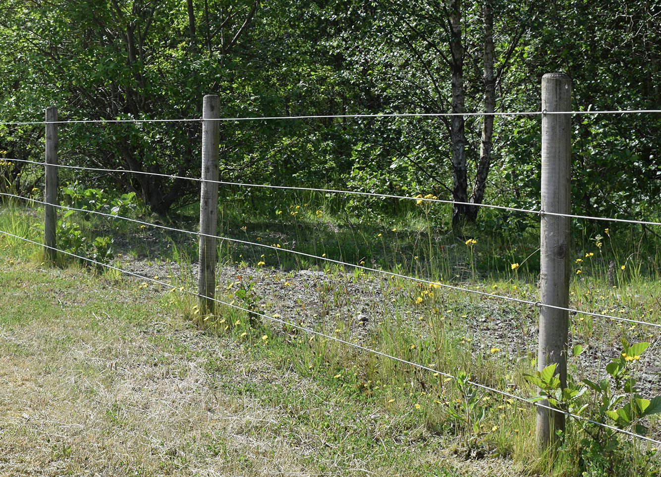 Gramm Barriers Posts